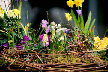  bepflanzter korb fr&uuml;hlingsstimmung