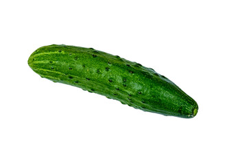 Ripe cucumber isolated on the white background