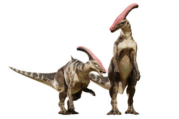 Parasaurolophus, dinosaur couple the from Late Cretaceous, isolated on transparent background

