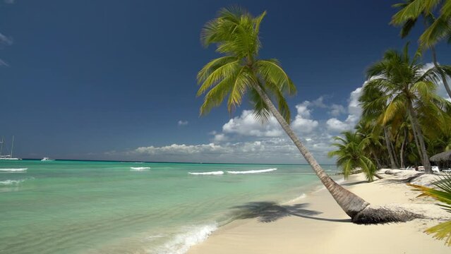 tropischer Strand mit Palme
