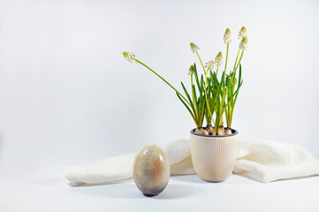 Easter egg with beige brown craquelure surface and a ceramic flowerpot with white grape hyacinths against a light gray background, home decoration and holiday greeting card, copy space