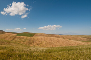 Fototapeta na wymiar Harvested fields in Sicily, Italy. Yellow wheat and blue sky in a Summer day 