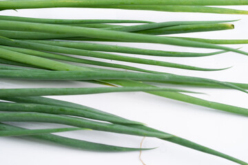 Fototapeta premium Leek plant on a white background