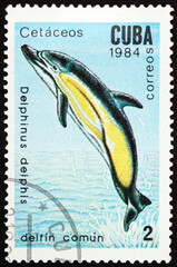 Postage stamp Cuba 1984 common dolphin, marine mammal