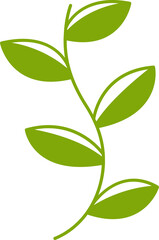 Fototapeta premium leaves and branch illustration