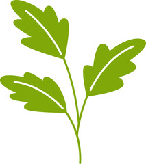 leaves and branch illustration