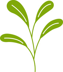 leaves and branch illustration