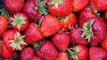 background from freshly harvested strawberries, directly above