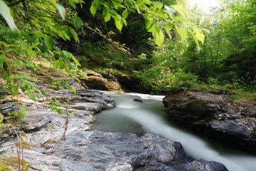 Cours d'eau en forêt