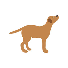 Dog icon in flat color style. Pet animal vector illustration on white isolated background