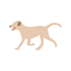 Dog icon in flat color style. Pet animal vector illustration on white isolated background