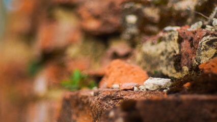 Texture d'un mur en briques roses