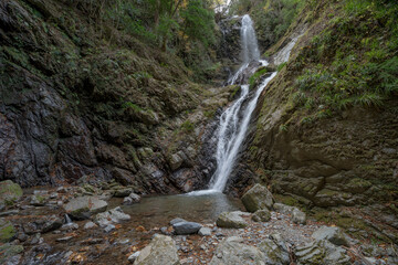 Fototapeta premium 雨乞いの滝
