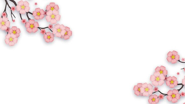 Sakura blossom branch. Motion background for Women's Day, Valentine's Day, Mother's Day and Wedding Day