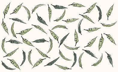Set of tropical leaves, hand drawn. Vector illustration for your design