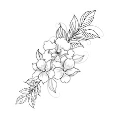 Gentle floral background from flower branches and buds, flower arrangement. Hand drawing. For stylized decor, invitations, cards, posters, flyers, backgrounds, as clipart