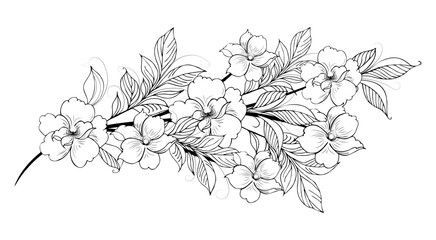 Gentle floral background from flower branches and buds, flower arrangement. Hand drawing. For stylized decor, invitations, cards, posters, flyers, backgrounds, as clipart