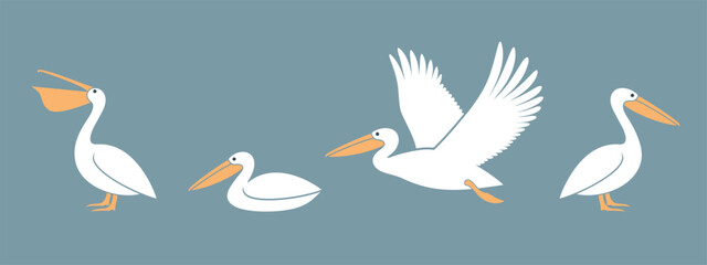 Pelican logo. Isolated pelican on white background - obrazy, fototapety, plakaty