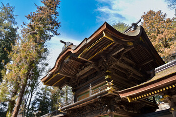 Naklejka premium 青空の諏訪大社春宮