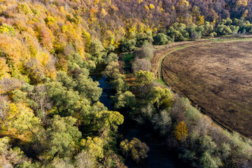A colorful autumn landscape from the air, a view of the river flowing between the forest and the field. Nara river, Kaluzhskiy region, Russia