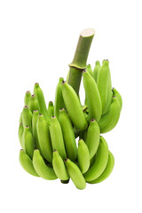 Cluster of green raw cavendish bananas with isolated on transparent background png	
