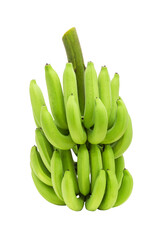 Cluster of green raw cavendish bananas with isolated on transparent background png	
