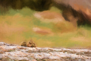 Digital painting of young conifer pine cone shoots isolated in a natural environment.
