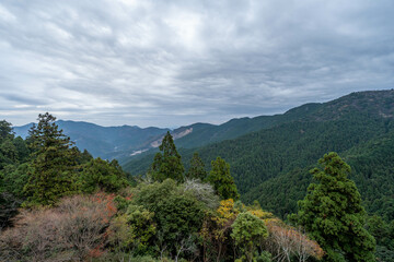 Naklejka premium 太龍寺