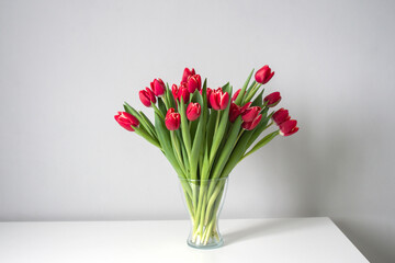 Red kung fu tulips stand in a glass vase on the kitchen table. Bouquet of flowers