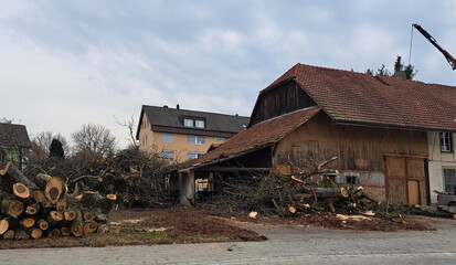Holzf&auml;llerarbeiten