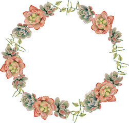 watercolor succulent pland and flower bouquet wreath frame