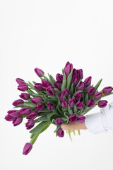 A large bouquet of purple tulips on a white background in the hands