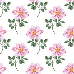 Watercolor elegant seamless pattern on white. Floral illustration with pink anemones for decor, textile, packing, paper etc.