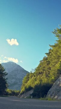 Mountain scenery, rocky cut slope, evergreen forest, POV car drive, vertical travel background