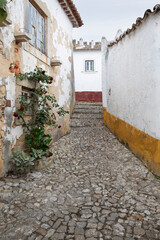 Cobbled street in the old town, Obidos, Central Region, Portugal, Europe