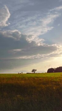 Flatland, cloudy sky, horizon, vertical short video, social media background