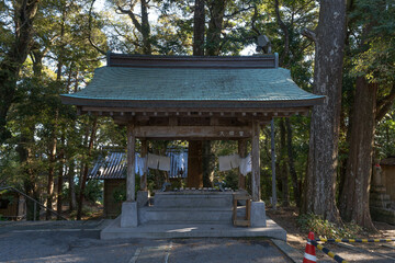 Fototapeta premium 金剛頂寺