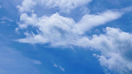 青空と生き物みたいな巨大な雲