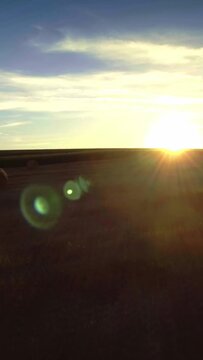 Flight over golden harvested field at sunset, horizon, social media wallpaper, vertical short video