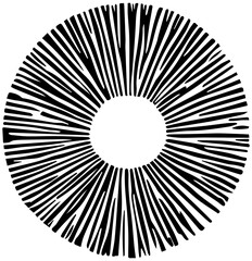 Abstract tree rings. Png concept for background. Thin black lines on white
