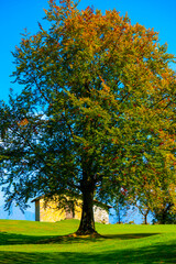 Tree and House on the Field with Mountain View in Autumn in Lombardy, Italy.
