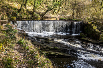 Yarrow Country Park, Lancashire, England