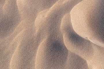 Round shapes in the sand in the sunlight