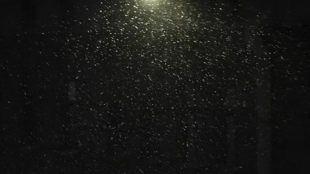 Falling Snow in a Beam of Light. In the light of a street lamp, snowflakes of a heavy snowfall fly by. In the background, the dark facade of a night building