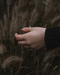 Aesthetic Hand Touching Grass 