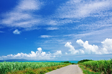 沖縄県小浜島北側の道と空
