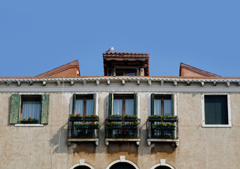 Fototapeta na wymiar a seagull sitting on the roof of a quaint ancient mediterranean house of Venice, Italy on a sunny day