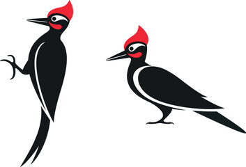 Woodpecker logo. Isolated woodpecker on white background