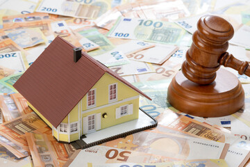 Auction gavel and house on Euro background    