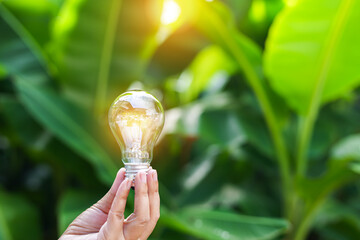 light bulbs green on background